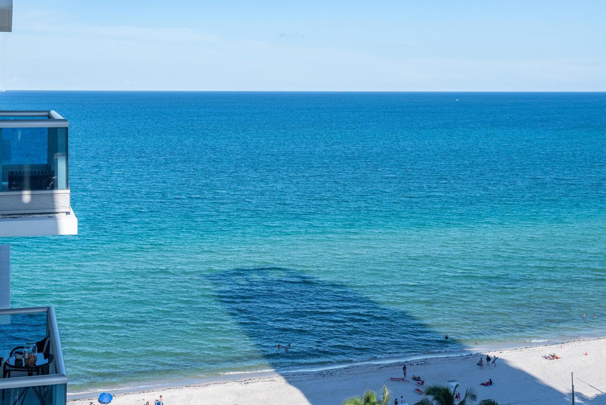 Bluebird Suites Monte Carlo Miami Beach Rum bild